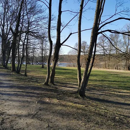 In Mit Fruehstueck Inklusive 스트라우스베르크