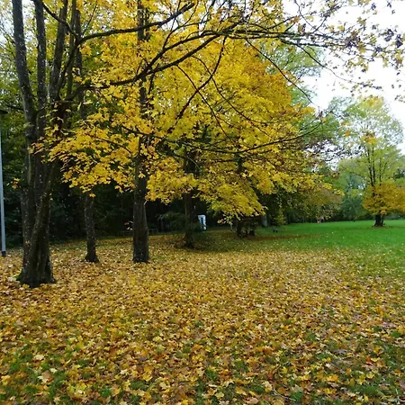 아파트 In Mit Fruehstueck Inklusive *