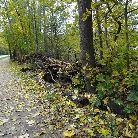 아파트 In Mit Fruehstueck Inklusive 스트라우스베르크