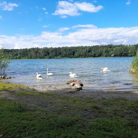 In Mit Fruehstueck Inklusive 스트라우스베르크