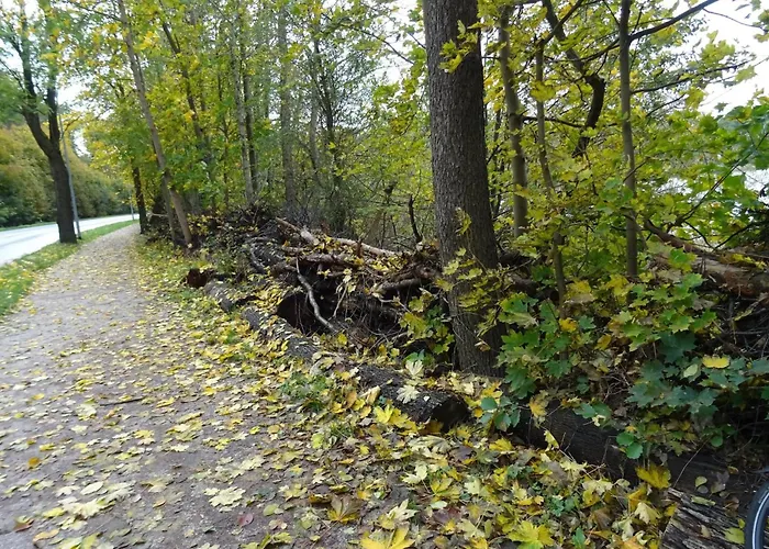 شقة In Mit Fruehstueck Inklusive شتراوسبرغ